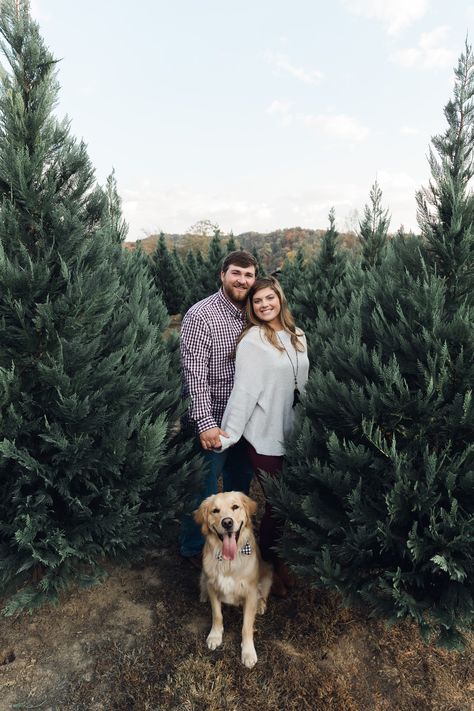 Christmas Tree Farm Engagement Session #ChristmasTreeFarm #EngagementPictures #Tennessee #GoldenRetriever Couple Christmas Cards With Dog, Tree Farm Photo Shoot With Dog, Christmas Card Couple And Dog, Christmas Farm Couple Pictures, Christmas Tree Farm Family Photos With Dogs, Couple Photography Poses Christmas Tree, Christmas Tree Farm Photo Shoot Outfits Couple, Wreath Christmas Photoshoot, Tree Farm Couple Photos Outfit