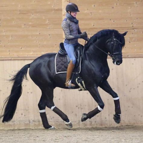 Horse Trainer Aesthetic, Dressage Aesthetic, Trainer Aesthetic, Autumn Horse, Flat Riding Boots, Horse Breeder, Horse Coats, Horse Dressage, Horse Trainer