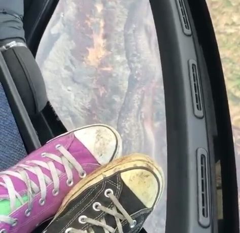 Matthew Gray Gubler Converse, Matthew Core, Wayne Family, Stephanie Brown, Matthew Gray, Matthew Gray Gubler, Spencer Reid, + Core + Aesthetic, Chuck Taylor Sneakers