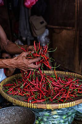 Chili Photography, Red Hot Chili Peppers, Red Chili, Chili Peppers, Chili Pepper, Peppers, Design Elements, Farmer, Chili