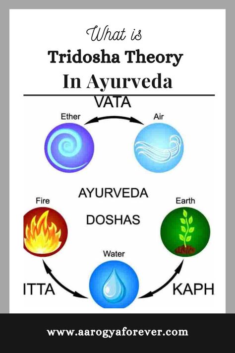 The one of basic theories in Ayurveda is Tridosha Theory. The imbalance of Vata causes 80 diseases, the imbalance of Pitta causes 40 and the imbalance of Kapha causes 20 types of diseases. #dosha #ayurvedaDosha #doshaimbalance #yogalifestyle Doshas Ayurveda, Ayurveda Dosha, Ayurveda Vata, Types Of Diseases, Fired Earth, Head Massage, Human Being, Yoga Lifestyle, Health Motivation