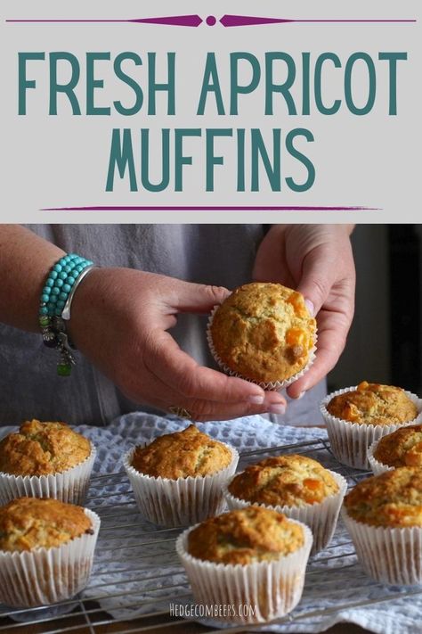 Recipes For Fresh Apricots, Fresh Apricots Recipes, Fresh Apricot Recipes Healthy, Apricot Muffins Recipe, Fresh Apricot Recipes Desserts, Apricot Recipes Fresh, Fresh Apricot Recipes, Apricot Scones Recipe, Apricots Recipes