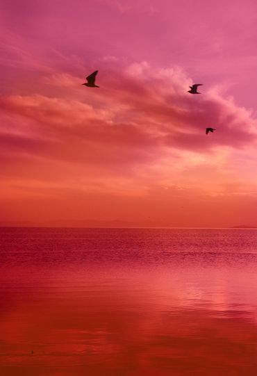 Colorful Life, Orange Aesthetic, Pink Sunset, Pink Sky, Red Aesthetic, Pink Aesthetic, Sunrise Sunset, Orange Color, Aesthetic Wallpapers