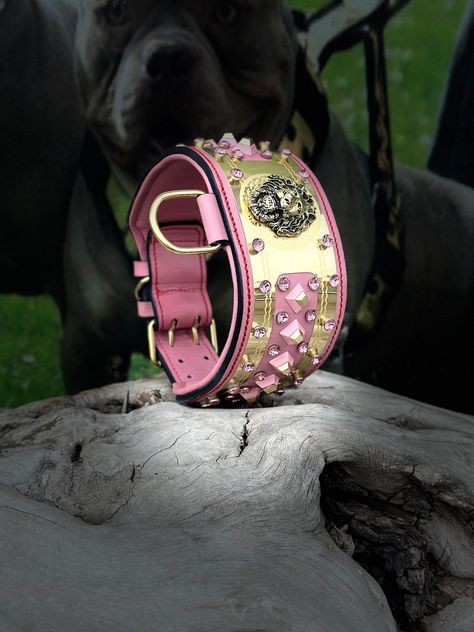 Leather Engraved, Engraved Dog Collar, Dog Collar With Name, Steel Accessories, Custom Dog Collars, Handmade Dog Collars, Stainless Steel Accessories, Metal Accessories, Buffalo Leather