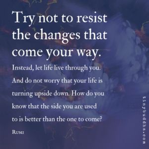 Resistance Quotes Inspiration, Resistance Quotes, Relaxation Music, Tiny Buddha, Rumi Quotes, Buddha Quotes, Meditation Music, Rumi, Positive Thoughts