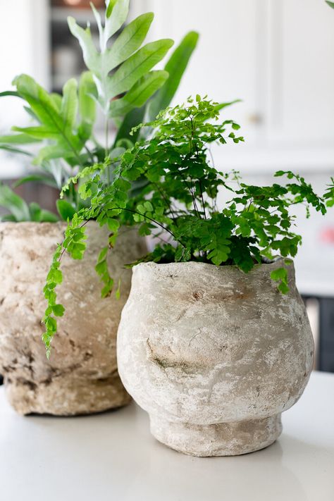 A ROUNDUP OF THE 9 BEST FAUX AGED POTTERY TUTORIALS | Nadine Stay Antique Terra Cotta Pots, Diy Painted Vases, Aging Terra Cotta Pots, Diy Terra Cotta Pots, Diy Concrete Planters, Concrete Diy Projects, Decor Hacks, Rustic Pottery, Concrete Planter