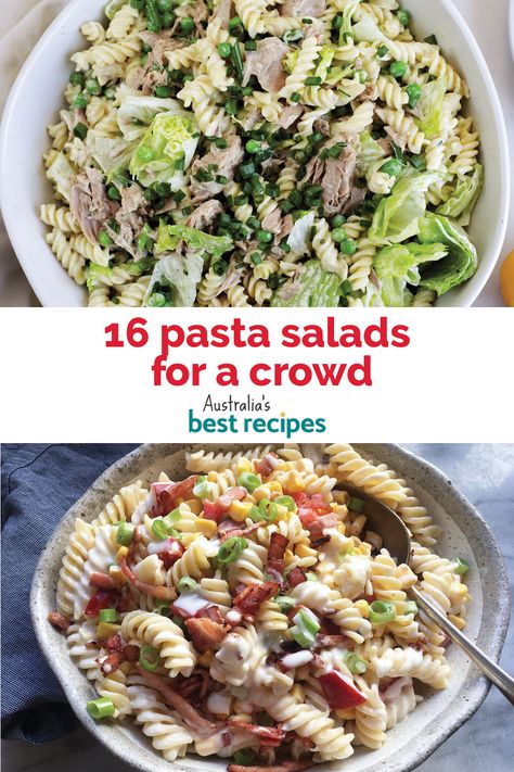 Feed a crowd with these delicious cold pasta salads including all the classics like creamy prawns, crispy bacon salads and more. Creamy Prawns, Pasta Salad For A Crowd, Cold Pasta Salads, Salad For A Crowd, Salads For A Crowd, Filling Lunch, Australia Food, Cold Pasta Salad, Bacon Salad