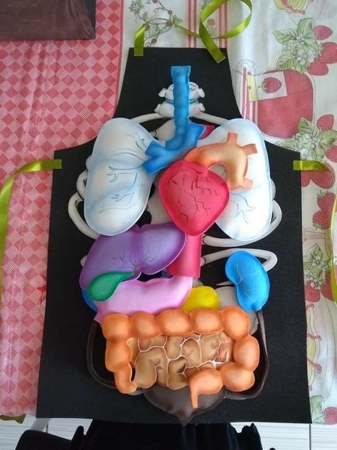 Home Montessori, Human Body Projects, Montessori At Home, Human Digestive System, Felt Story, Biology Projects, School Displays, Science Projects For Kids, Science Toys