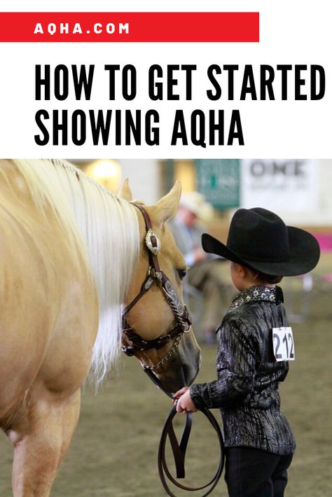 Aqha Western Pleasure, Horse Judging, Western Pleasure Outfit, American Quarter Horse Association, Aqha Horses, Horse Shirts, Horse Showing, Barrel Racing Saddles, Horse Halters