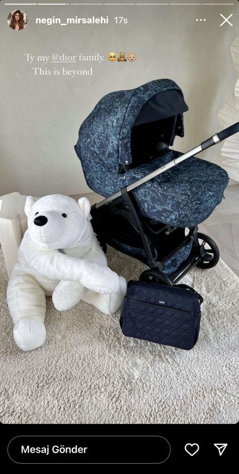 Dior Stroller, Luxury Baby Items, Designer Strollers, Baby Boy Car Seats, Boy Room Themes, Luxury Stroller, Stuff For Babies, Future Parents, Luxury Baby Clothes