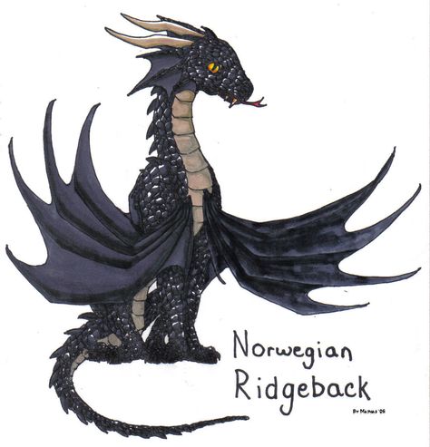 HP dragon - Norwegian ridgeback Norwegian Ridgeback, 31 Tattoo, Fantastic Beasts Creatures, Harry Potter Creatures, Harry Potter Dragon, Harry Potter Coloring Pages, Harry Potter Tattoos, Dragon Sketch, Geniale Tattoos