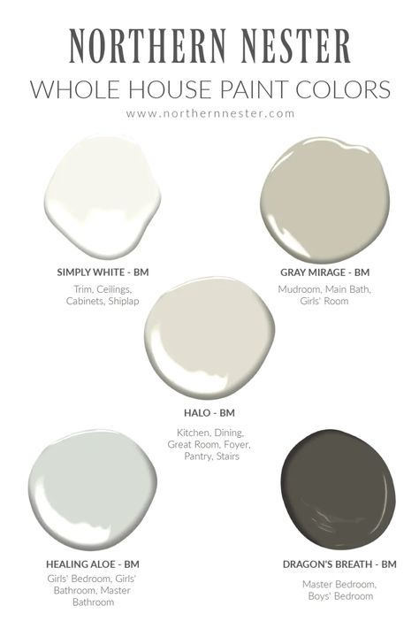 Neutral Whole House Paint Color scheme Whole House Paint Palette 2023, Neutral Color Palette For Home, Whole House Paint Scheme, Halloween Decorations Cute, Affordable Barndominium, Bathroom Halloween, Cute Backyard, Healing Aloe, Room Wall Colors