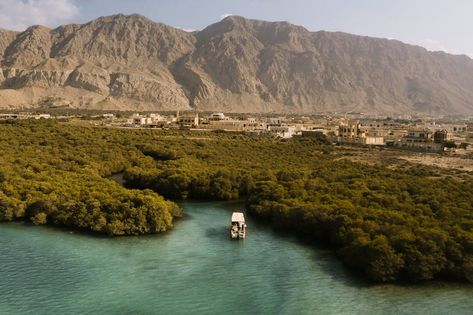 The UAE’s “Nature Emirate” is on a quest to become a regional leader in sustainable tourism by 2025. Its “Balanced Tourism” approach offers vibrant nature and cultural adventures alongside support and incentives for both new and existing hotels. -Ras Al Khaimah International Tourism, Night Hiking, Dubai Airport, Easy Wedding Planning, Tourism Development, Bear Grylls, Pearl Farm, Ras Al Khaimah, Cruise Liner