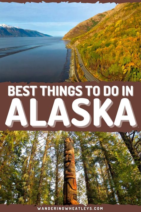 Alaska Travel Guide, Alaska Road Trip, Trip To Alaska, Alaska Wildlife, Alaska Vacation, Alaska Usa, Vacation Usa, Denali National Park, See The Northern Lights