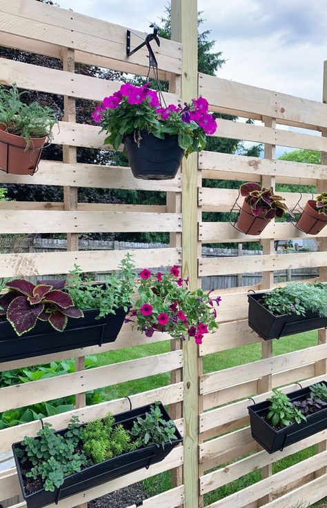 Pallet Wall Planters Outdoor, Long Pallet Ideas, Pallet Hacks, Pallet Garden Walls, Outdoor Yard Ideas, Wall Planters Outdoor, Herb Wall, Planter Wall, Urban Gardens