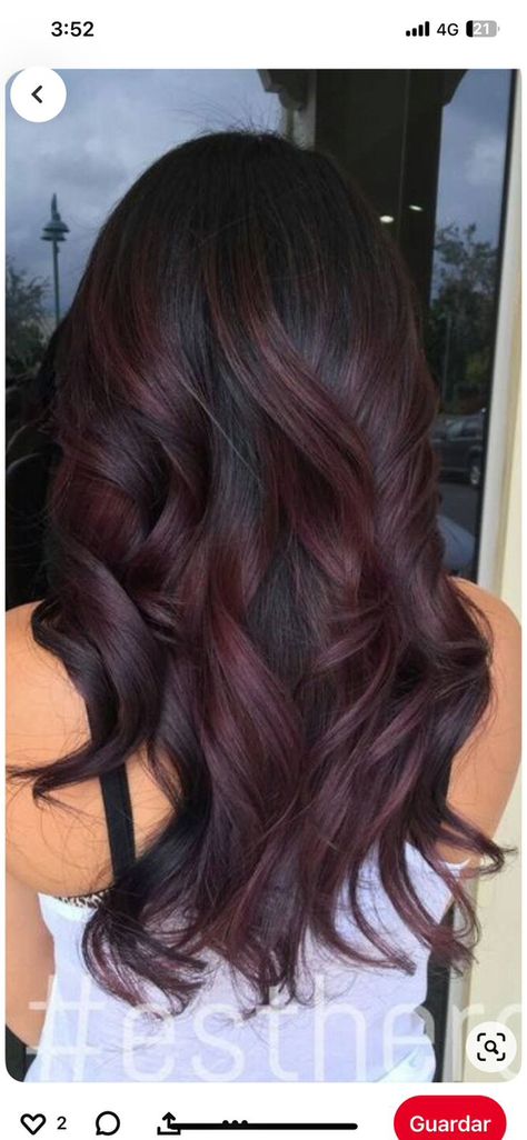 Auburn On Black Hair, Plum Black Hair, Dark Plum Hair, Dark Burgundy Hair, Plum Hair, Dark Burgundy, Burgundy Hair, Shoulder Length, Auburn