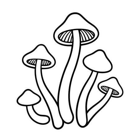 Fungi Drawing Easy, Cartoon Mushrooms, Mushroom Cartoon, Scratch Book, Trippy Mushroom, Cartoon Mushroom, Dibujo Simple, Mushroom Tattoos, Animal Rabbit