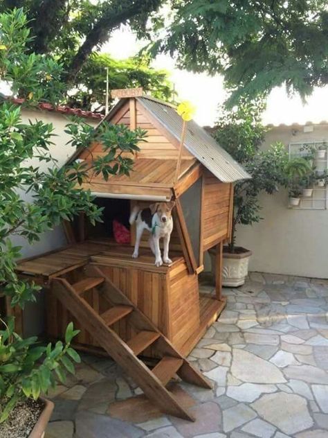 Best Dog House Design & Ideas | Indoor & Outdoor Cool Puppy House | DIY Dog House Plans | Interiors With just a few tools, it's possible to make a DIY dog house. Dog houses are fairly simple and budget-friendly projects and can be usually be completed by someone with just basic building skills. Before using these free dog house plans to build your dog's dream home, make sure that it will be the right fit for the size of your full-grown dog. Some of these dog house plans can even be customized Easy Dog House, Under Stairs Dog House, Outside Dog Houses, Luxury Dog House, Dog Backyard, Katt Grejer, Family Friendly Dogs, Dog House Plans, Outdoor Dog House