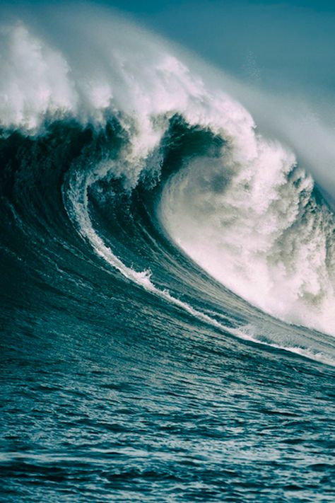 Mavericks by Renee Robyn | LVSH Big Wave Surfing, Huge Waves, Surfing Pictures, Surfing Waves, Surf Art, Sea Waves, Big Waves, Making Waves, In The Ocean