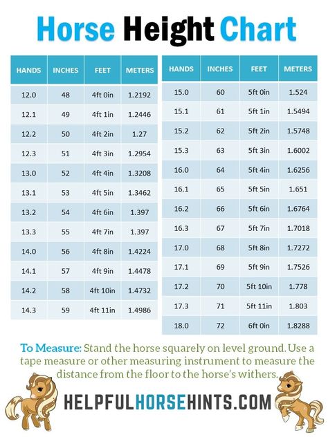 Horse Height Chart - Convert height from inches, feet, meters (or centimeters) to hands. Quick and easy reference guide. Great for pony club or to hang in the stable as a reference. Horses Appaloosa, Hand Template, Horse Healing, Horse Farm Ideas, Horse Riding Quotes, Horse Information, Healthy Horses, Horse Exercises, Horse Care Tips