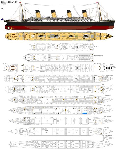 RMS Titanic Profile by Fallout-Brony Grandeur Of The Seas, Titanic Model, Titanic Artifacts, Titanic Sinking, Titanic Facts, Titanic History, Titanic Ship, Rms Titanic, Deck Plans