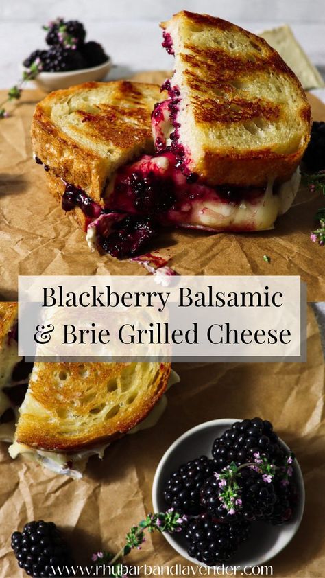 Balsamic Jam, Grilled Cheese Recipes Gourmet, Blackberry Balsamic, Brie Grilled Cheese, Melted Brie, Grilled Cheese Recipes, Delicious Sandwiches, Cheese Sandwich, Grilled Cheese Sandwich