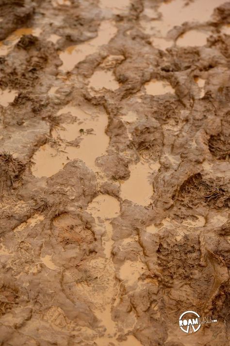 Muddy Aesthetic, Mud Aesthetic, Muddy Footprints, Mud Texture, Dirt Texture, Terrain Texture, Road Texture, Mud Water, Nature Elements