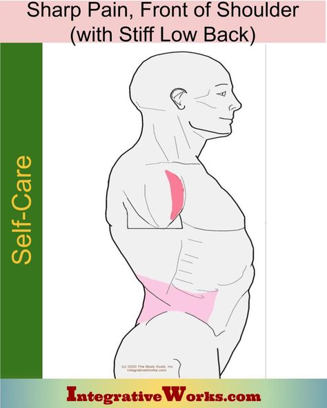 Self Care - Sharp Pain in Front of Shoulder, Tight Low Back - Integrative Works Shoulder Trigger Points, Shoulder Muscle Pain, Guided Relaxation, Back Relief, Forward Head Posture, Stretch Routine, Icy Hot, Trigger Point, Tight Hips