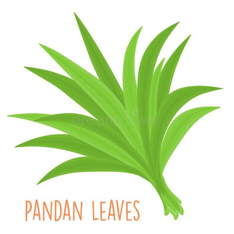 Fresh green aromatic pandanus leaf. Illustration royalty free illustration Leaf Vector Illustration, Pandan Leaf, Daun Pandan, Leaf Vector, Cartoon Bee, Leaves Illustration, Leaf Illustration, Leaves Vector, Leaf Logo