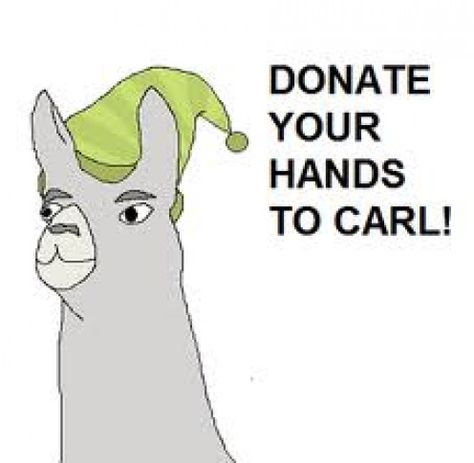 Carl from Llamas With Hats Charlie The Unicorn, Hat Quotes, Llamas With Hats, In Soviet Russia, Weird Look, Soviet Russia, Inside Jokes, Do Not Eat, The Unicorn