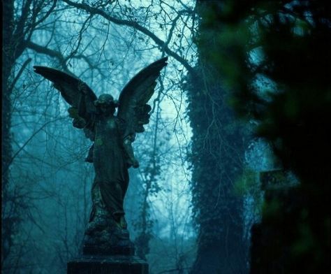 This could possibly be Highgate Cemetery in North London. I think I recognise the Beer family mausoleum… and that in itself makes me sound like a weirdo. Paradis Sombre, Gothic Coffin, Cemetery Angels, Cemetery Statues, Cemetery Art, Angel Statues, Tumblr Photography, Gothic Beauty, Gothic Architecture