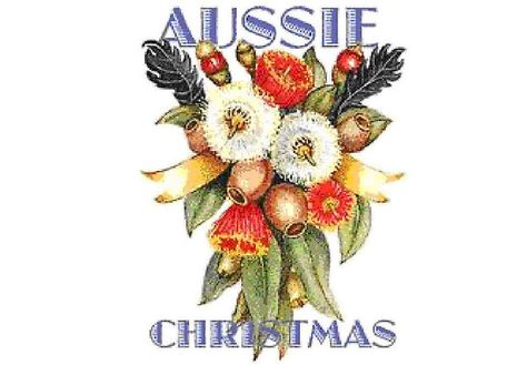 Aussie Christmas Posy by adgray Christmas Aussie, Australian Christmas Cards, Bush Christmas, Christmas Decorations Australian, Australian Nature, Aussie Animals, Hot Christmas, Aussie Food, Christmas In Australia