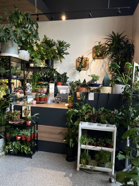 #plants #assthetic #pothos #monstera #plant #greens #garden #nursery #planting #plantbased #flowers #plants Plant Store Ideas, Plant Shop Ideas, Plant Shop Aesthetic, Greens Garden, Flower Shop Interiors, Flower Shop Design, Bohemian Nursery, Farm Nursery, Store Layout