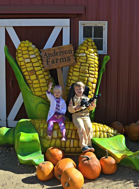 Corn Maze Decor Ideas, Pumpkin Patch Yard Display, Farm Halloween Decor, Farm Party Games, Corn Festival, Halloween Pumpkin Patch, Best Pumpkin Patches, Unique Garden Decor, Food Park