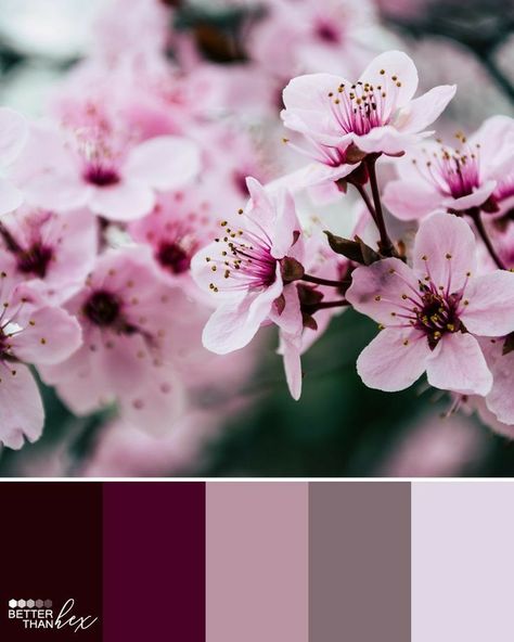 Maroon Color Palette, Aesthetic Garden, Color Schemes Colour Palettes, Purple Garden, Color Palette Pink, Garden Aesthetic, Color Palette Design, Winter Color, Color Balance