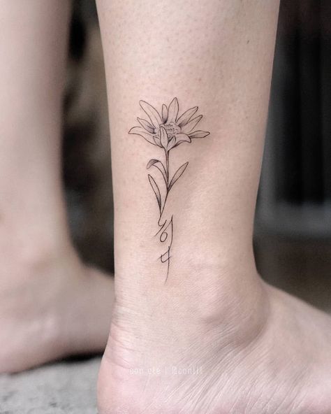 Edelweiss Flower Tattoo, Edelweiss Tattoo, Typography Tattoo, Christian Sleeve Tattoo, Flower Tattoo Meanings, Edelweiss Flower, Muster Tattoos, Discreet Tattoos, Vintage Tattoo