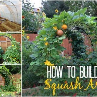 wonderfuldiy - WonderfulDIY How To Regrow Pineapple, Squash Arch, Pumpkin Trellis, Squash Trellis, Squash Plant, Rose Trellis, Growing Pumpkins, Diy Trellis, Vertical Planter