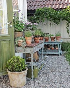 Small Cottage Garden Ideas, Mark D Sikes, Cottage Garden Design, Cottage Garden Plants, English Cottage Garden, Cottage Gardens, Backyard Inspiration, Pretty Pins, Garden Care