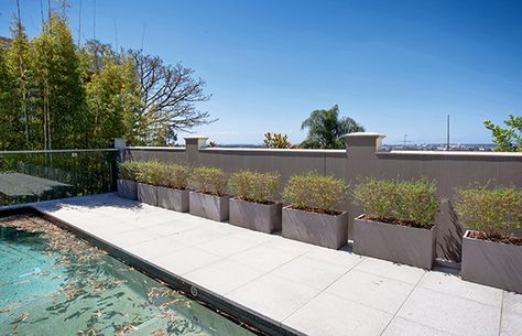 Poolside Landscaping with IOTA Venice Trough Planters Pool Deck Planters, Poolside Planters, Planters Around Pool, Poolside Landscaping, Pool Planters, Designer Planters, Concrete Planter Boxes, Pool Surrounds, Modern Pool