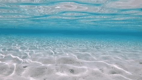 Ocean Gif, Waving Gif, Summer Gif, Gif Background, Beach Luxury, Summer Banner, Water Aesthetic, Emo Memes, Beach Nature