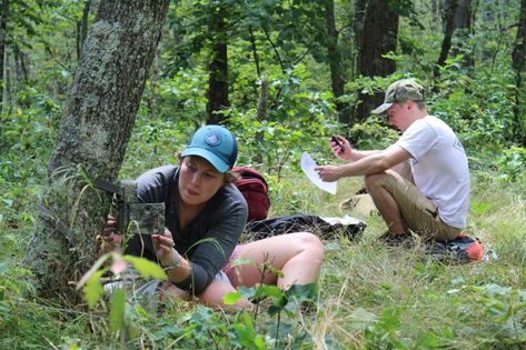 Wildlife Field Course students Wildlife Ecology Aesthetic, Wildlife Researcher Aesthetic, Field Work Aesthetic, Field Research Aesthetic, Field Biologist Aesthetic, Biology Field Work, Field Ecologist, Wildlife Biology Aesthetic, Wildlife Conservation Aesthetic