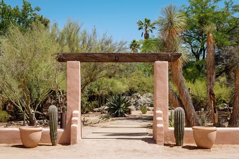 Desert Hotel, Joshua Tree House, Saguaro National Park, Southwest Wedding, Photo Room, Desert House, Desert Living, Rooftop Lounge, Desert Southwest