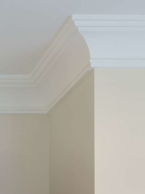 Cove Molding Types Of Crown Molding, Cove Crown Molding, Crown Molding Styles, Cove Moulding, Ceiling Crown Molding, Baseboard Styles, Molding Ceiling, Cove Molding, Ceiling Trim