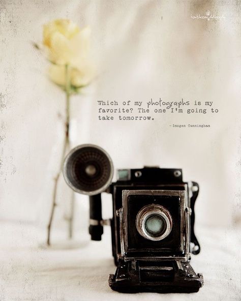 Old Things Vintage, Photography Jokes, Photography Inspiration Quotes, Capture Quotes, Camera Quotes, Photographer Quotes, Vintage Quotes, Photography Themes, Retro Stuff