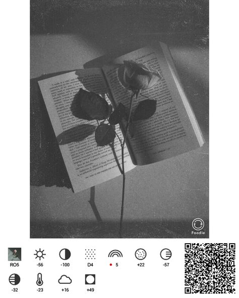 Qr Foodie, Grey Filter, Foodie Filter, Vsco Filter Instagram, Vsco Tutorial, Foodie Photography, Vintage Photo Editing, Photography Editing Apps, Phone Photo Editing