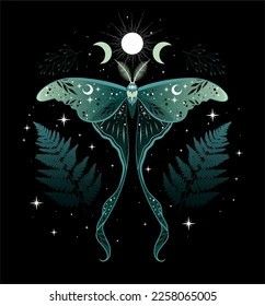 Lunar Moth Design, Luna Moth Moon Phase Tattoo, Lunar Moth Painting, Luna Moth Drawing Simple, Luna Moth Tattoo Ideas, Celestial Moth Tattoo, Dark Butterfly Aesthetic, Lunar Moth Drawing, Lunar Moth Art