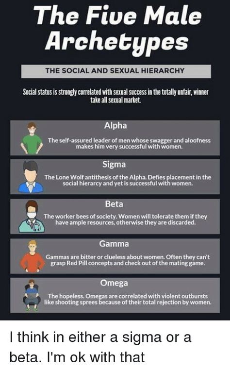 Male Archetypes, The Lone Wolf, Social Status, I'm Ok, The Alpha, About Women, Lone Wolf, Clueless, Case Study