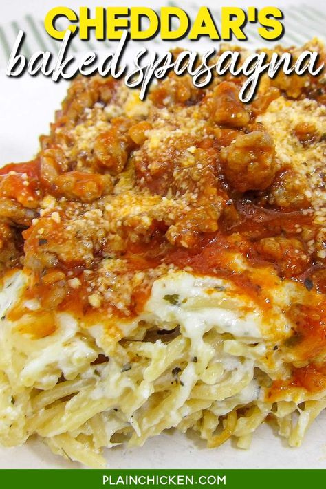 Best Baked Spaghetti, Pasta With Mozzarella, Plain Chicken Recipe, Spaghetti Lasagna, Baked Pasta, Plain Chicken, Pasta Casserole, Baked Spaghetti, Freezer Meal