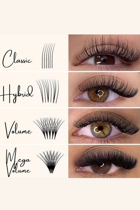 Type Of Lashes Extension, Lashes Types, Different Types Of Lashes, Types Of Lashes, Extensions Lashes, Natural Fake Eyelashes, Maquillage Yeux Cut Crease, Classic Lashes, Lashes Fake Eyelashes