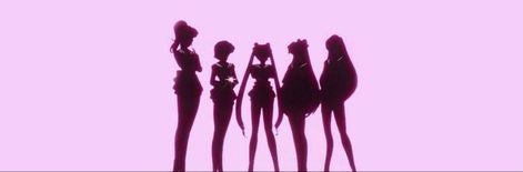 Pink Twitter, Twitter Header, Sailor Moon, Moon, Twitter, Flowers, Pink